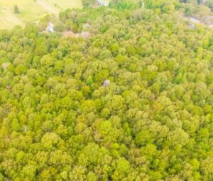 Tyler Texas land example