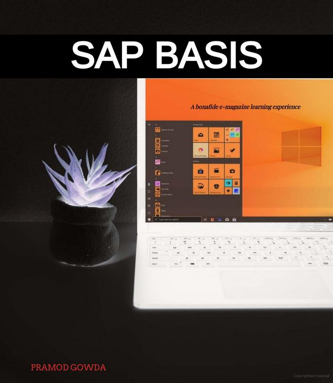 SAP Basis E-Magazine