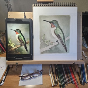 Hummingbird